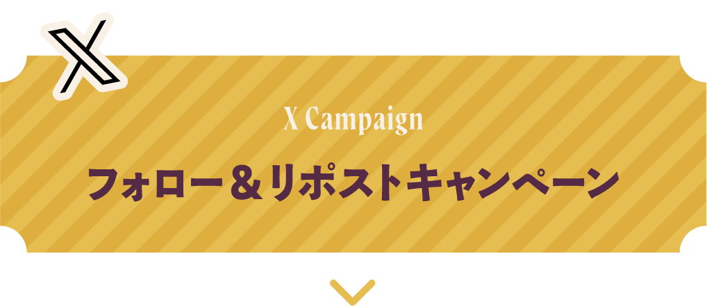 X Campaign フォロー&リポストキャンペーン