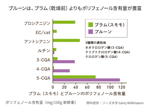 プラム（スモモ）とプルーンのポリフェノール含有量のグラフ。プルーンは、プラム（乾燥前）よりもポリフェノール含有量が豊富