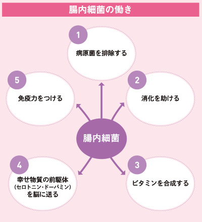 腸内細菌の働きの図