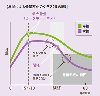 最大骨量（ピークボーンマス）のグラフ