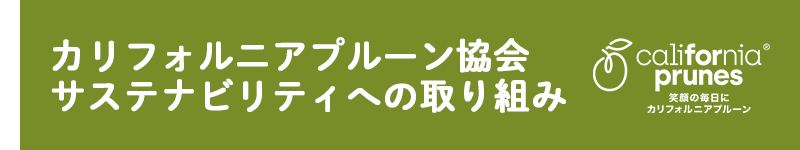 サステナビリティへの取り組み