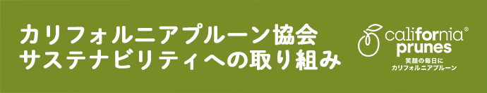 サステナビリティへの取り組み